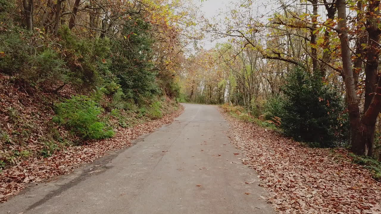strada di montagna autunnale. foglie colorate nel percorso