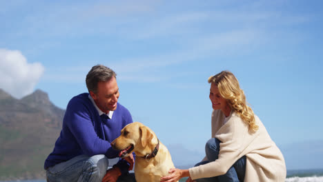 Glückliches-älteres-Paar-Streichelt-Seinen-Hund-Am-Strand