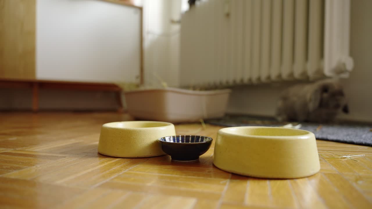 호기심이 많고 부끄러운 토끼는 당근과  ⁇ 러드에 대한  ⁇ 새를 맡고, 그것을 얻으면 도망친다.