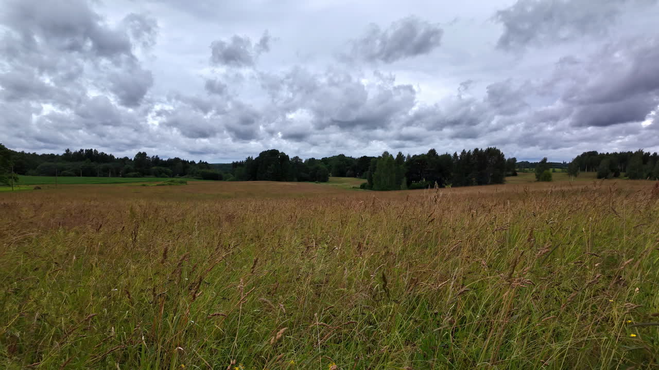 구름이 많은 날 하늘에 큐러스 구름이 있는 빈 초록색 의 프로필 뷰