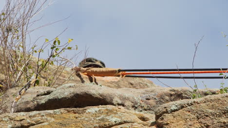 stretched rappeling rope pan to female climber preparing equipment to start descending sandstone cliff, closeup