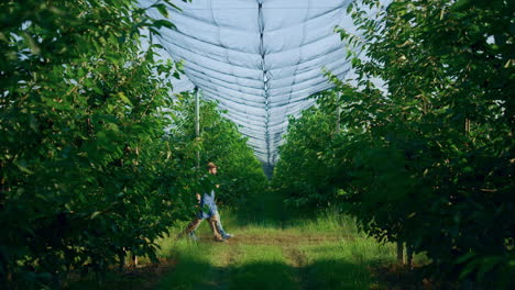 farmers team working together in sunny fruit garden. agronomists inspect orchard