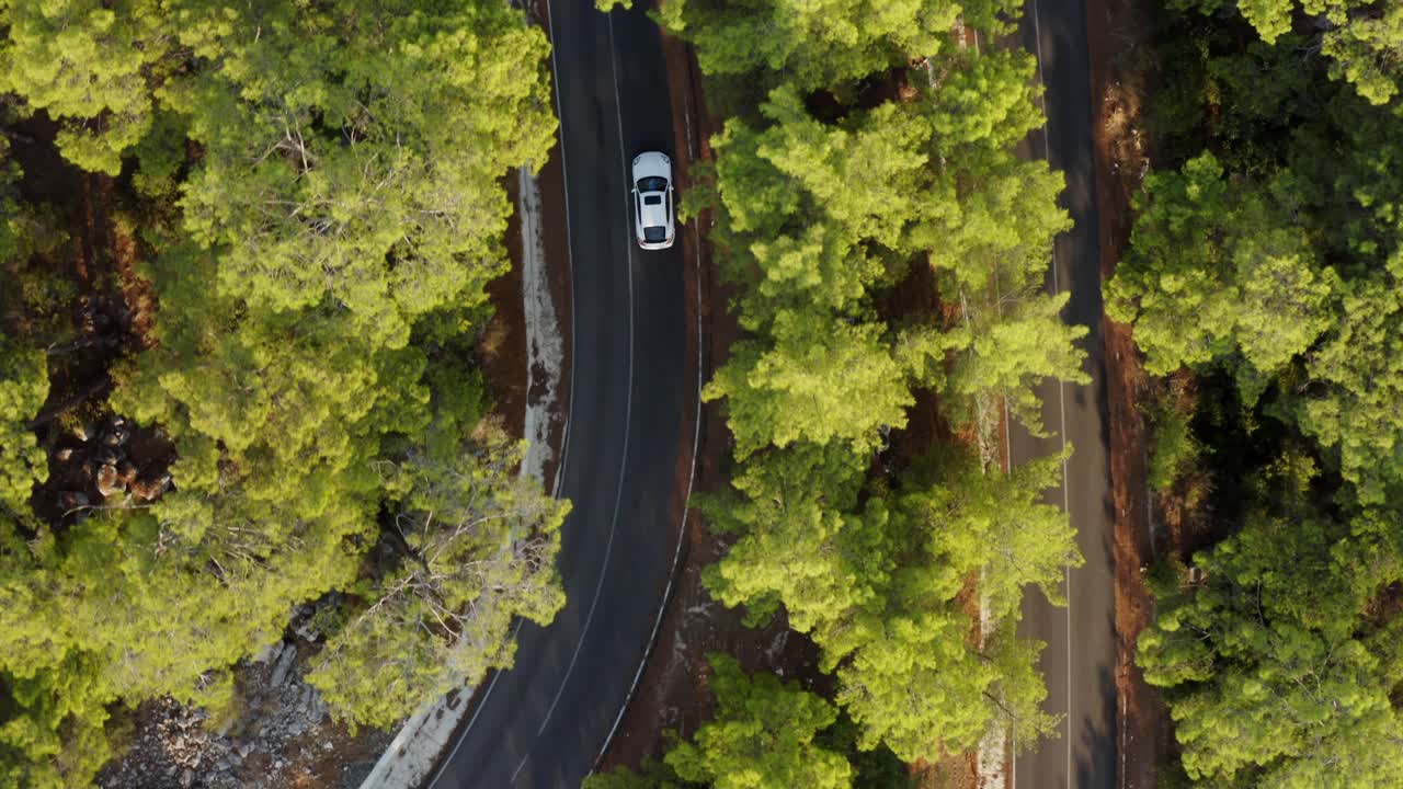 Drone che segue un'auto su una strada tortuosa attraverso una lussureggiante foresta costiera turca.