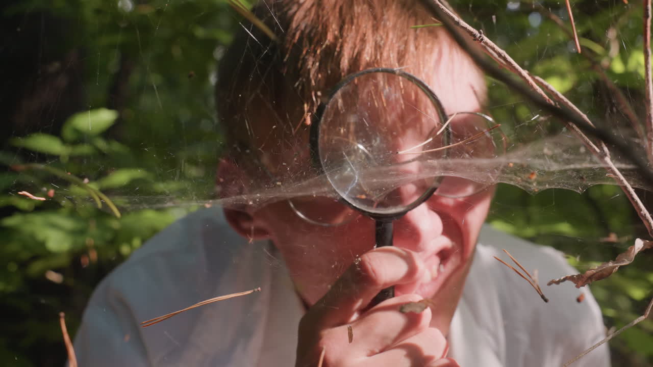 Young man in white coat holding microscope to observe dry leaves resting on fragile spider webs in forest, focusing on delicate cobweb structure illuminated by natural sunlight for ecological