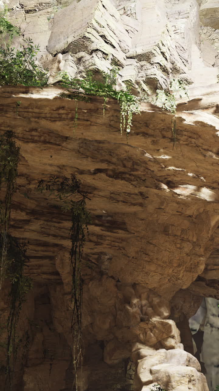 Exploration of a vast cave with rock formations and lush greenery
