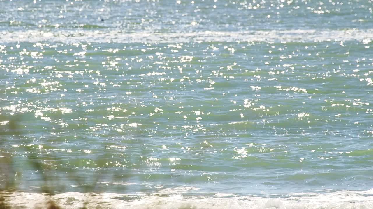 슬로우 모션 파도가 햇빛에 반짝인다