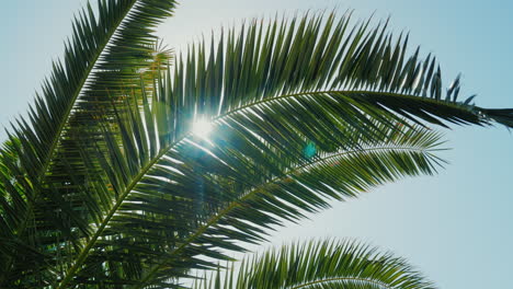 Disparo-De-Grúa:-Un-Día-Soleado-En-El-Cálido-Sur-1