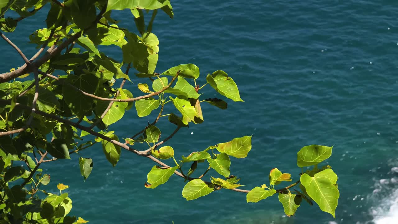 파도 와 바위 가 있는 해안 풍경