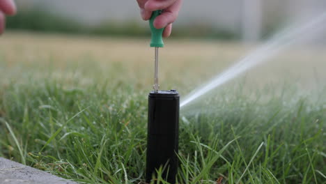 adjusting rainbird 5000 with screw driver while it rotates and waters green lawn