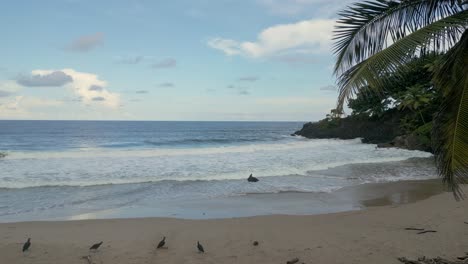 la playa de balandra, trinidad y tobago