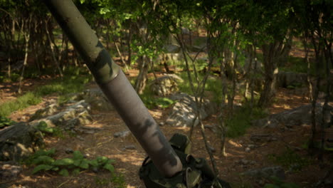 gran cañón en el bosque