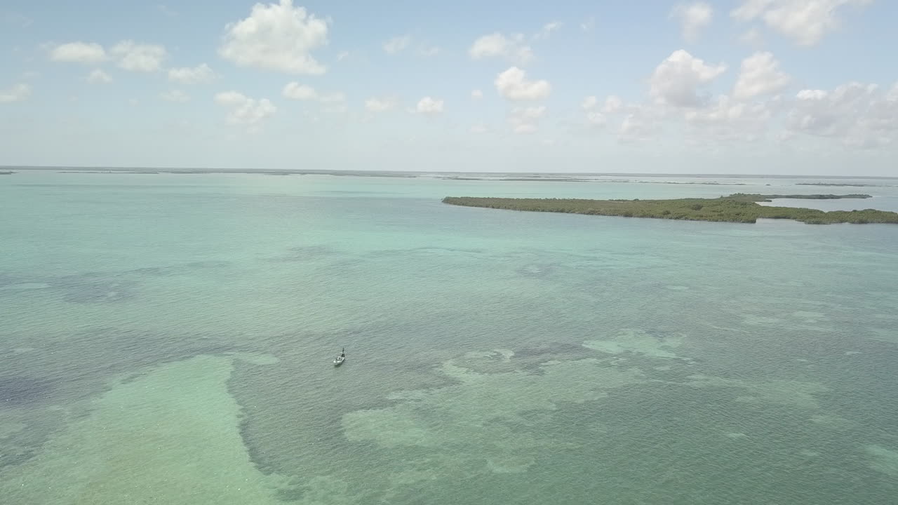 drone sobrevuelo revelado en ascension bay, punta allen, méxico