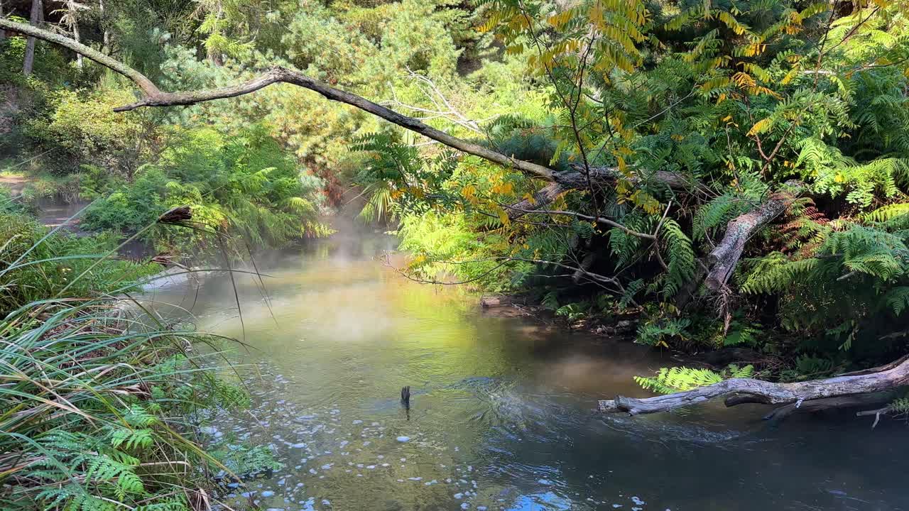 Steam rises from the warm waters of Kerosene Falls, a natural hot spring in New Zealand. Surrounded by lush greenery, the scene highlights the country’s geothermal beauty