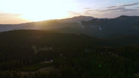 drone shot of peaceful growing trees in mountains of dichiu at golden sunset