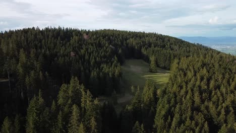 Toma-Aérea-De-Un-Bosque-En-Las-Montañas,-En-Verano-Con-Hierba-Verde