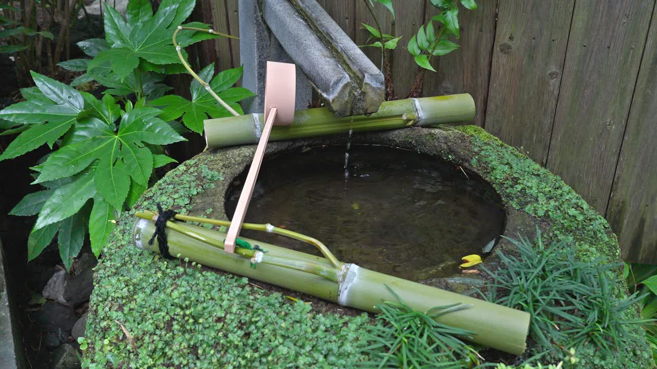 A traditional Japanese garden element features a stone basin (tsukubai) with bamboo water spouts, possibly a shishi-odoshi, surrounded by lush greenery.