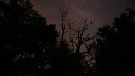 cloudy and dark time lapse of the night sky with moving stars,outdoors