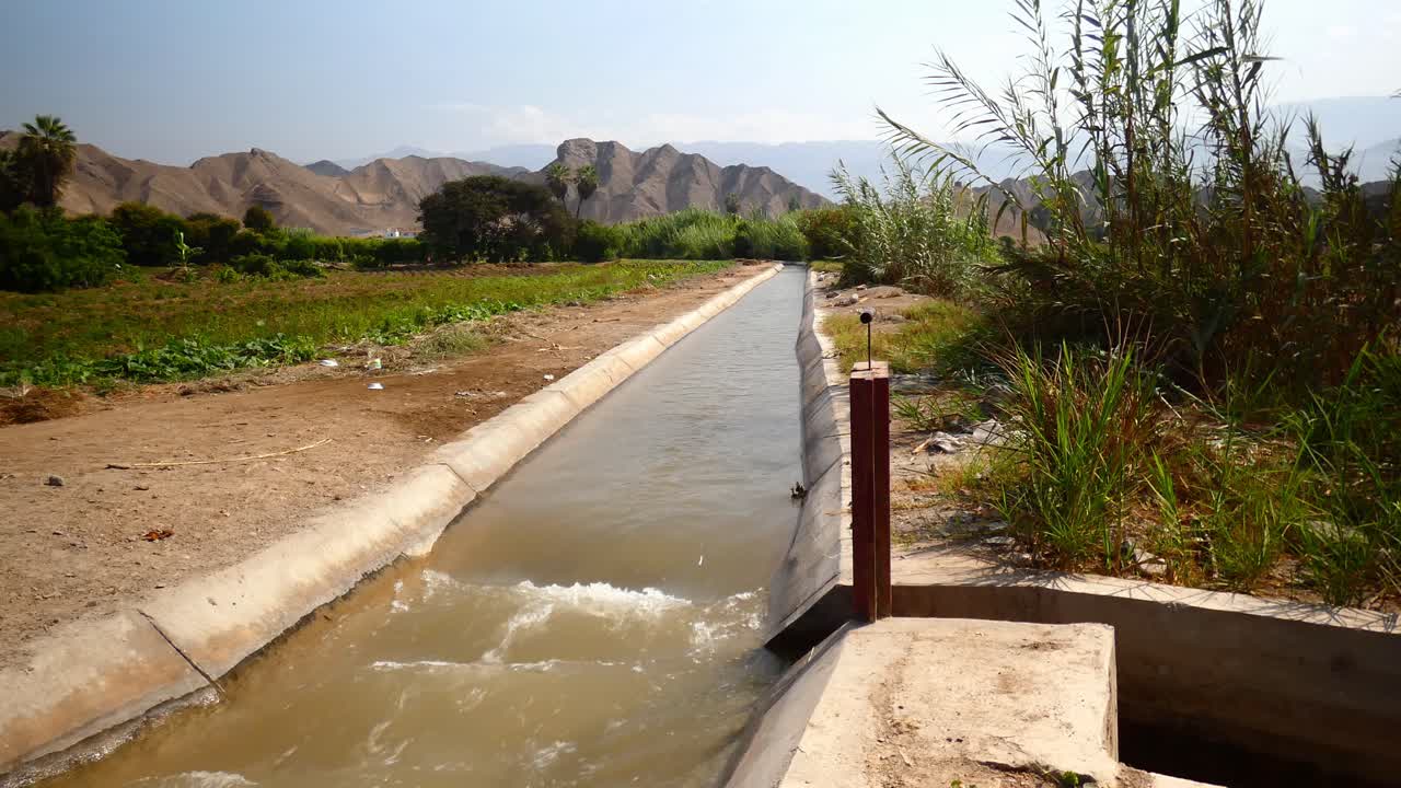 una zanja de riego con agua corriendo, a un lado hay un campo agrícola verde más al fondo hay árboles y la cordillera de los andes