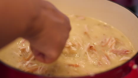 visto a mano revolviendo estofado de pollo casero en una olla grande con caldo cremoso