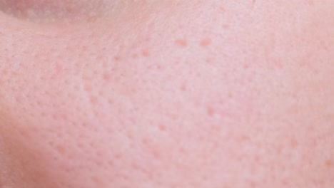 Close-up of skin pores