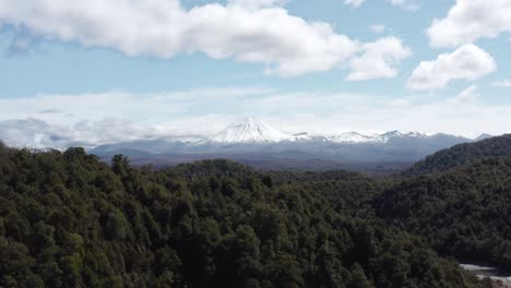 surgiendo del bosque nativo en nueva zelanda para revelar el famoso monte ngauruhoe, mt doom