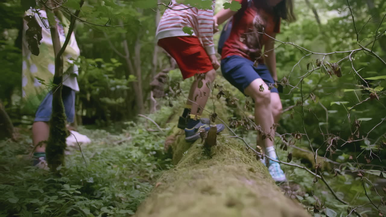 excursionismo familiar en el bosque