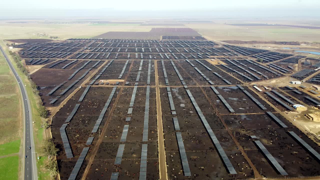USA, CA, Coalinga, Harris Cattle Farm, 2024-12-28 - Drone view of the Harris Ranch Cattle Farm Feedlot