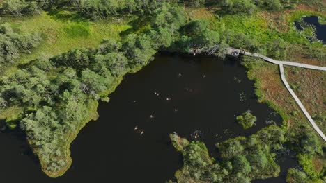 top down view of bog lake with people swimming in it in tolkuse bog in estonia