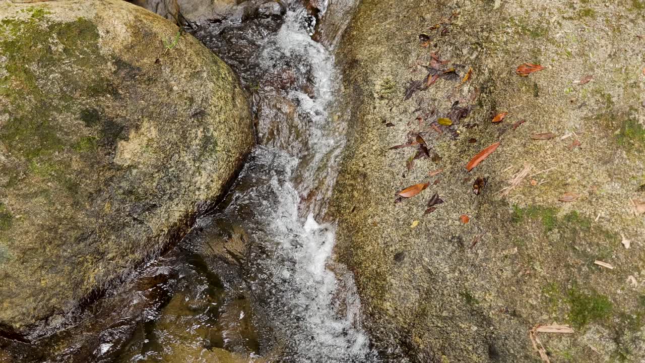 Aerial view of a stream cascading over moss-covered rocks in a lush rainforest setting, captured in natural daylight
