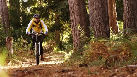 Male-mountain-biker-riding-in-the-forest