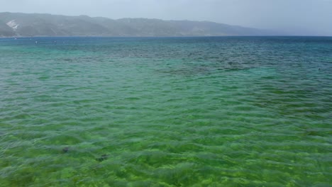 Clear-water-of-shallow-lake-reflecting-sunlight-at-Autumn-morning-in-Pogradec,-Albania