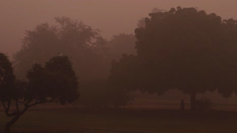 Nebliger-Sonnenaufgang-Am-Morgen-Aus-Flachem-Winkel