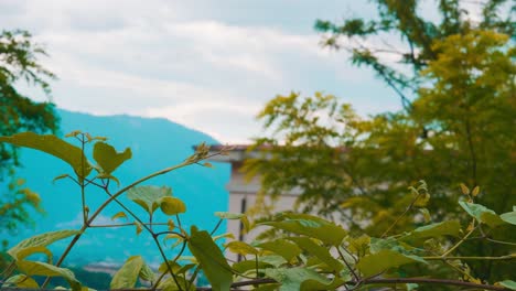 mountain, along side houses and trees