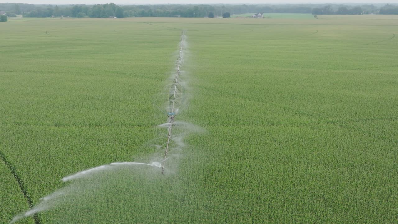 Pan shot of pivot irrigation by sprinkling water to the corn field. Aerial view.