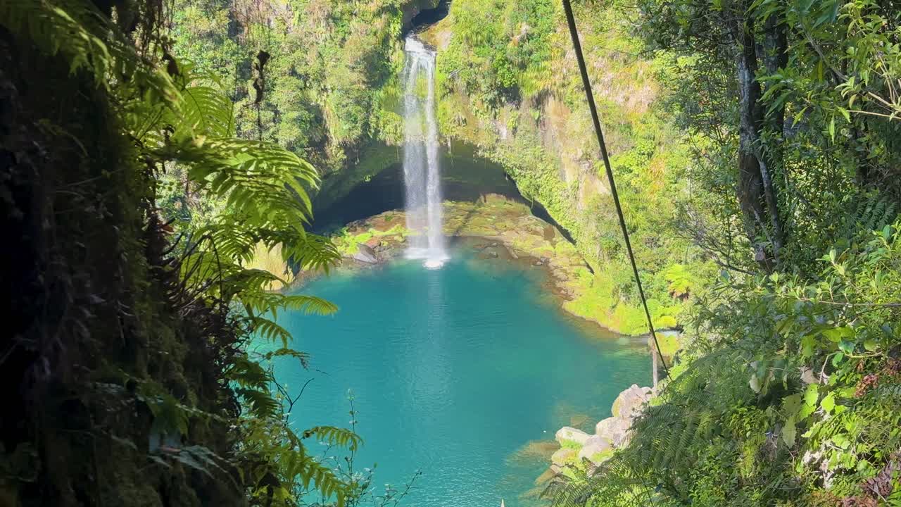 A distant view of Omanawana Falls in New Zealand’s North Island. The cascading waterfall is surrounded by lush greenery and natural forest, creating a serene and scenic landscape