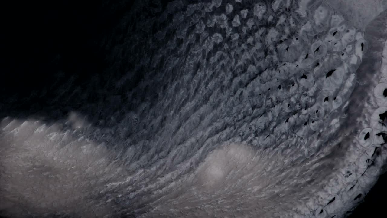 сюрреалистический водопад низвергается вниз, обрушиваясь на ледяной валун - абстрактный видеоклип, сделанный в естественных условиях