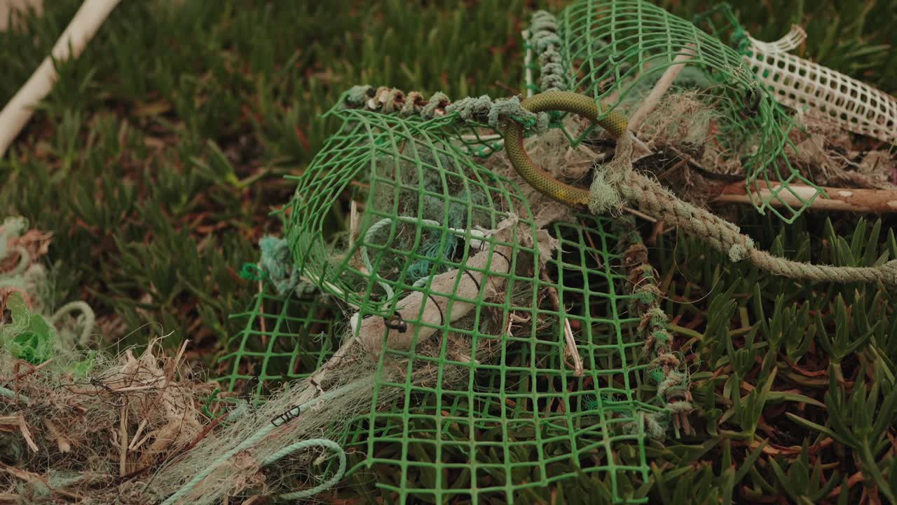 Rete da pesca verde con corda e anello poggiata sull'erba vicino alla costa.