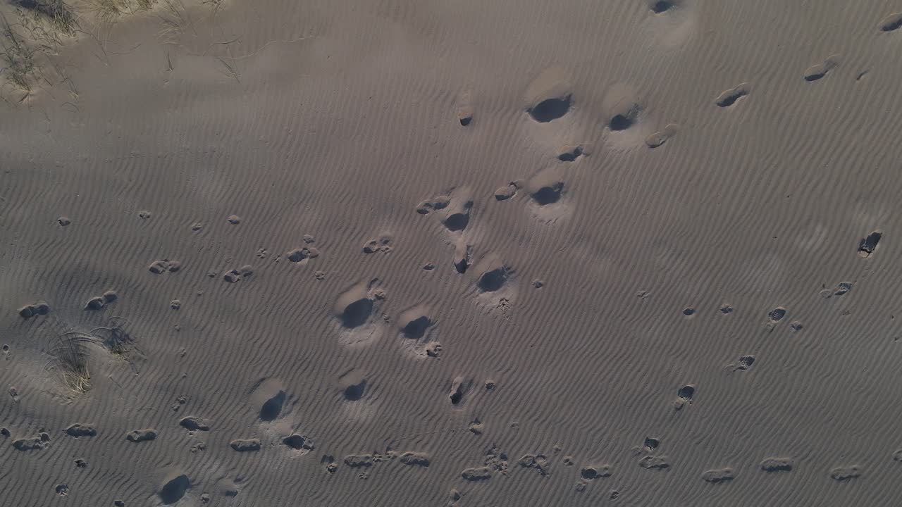Footprints on sandy coastal beach, aerial top down ascend rotate shot
