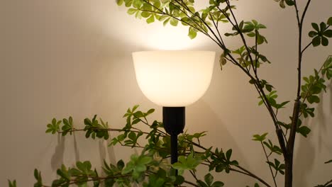 a lamp in a cafe against light green wall ,