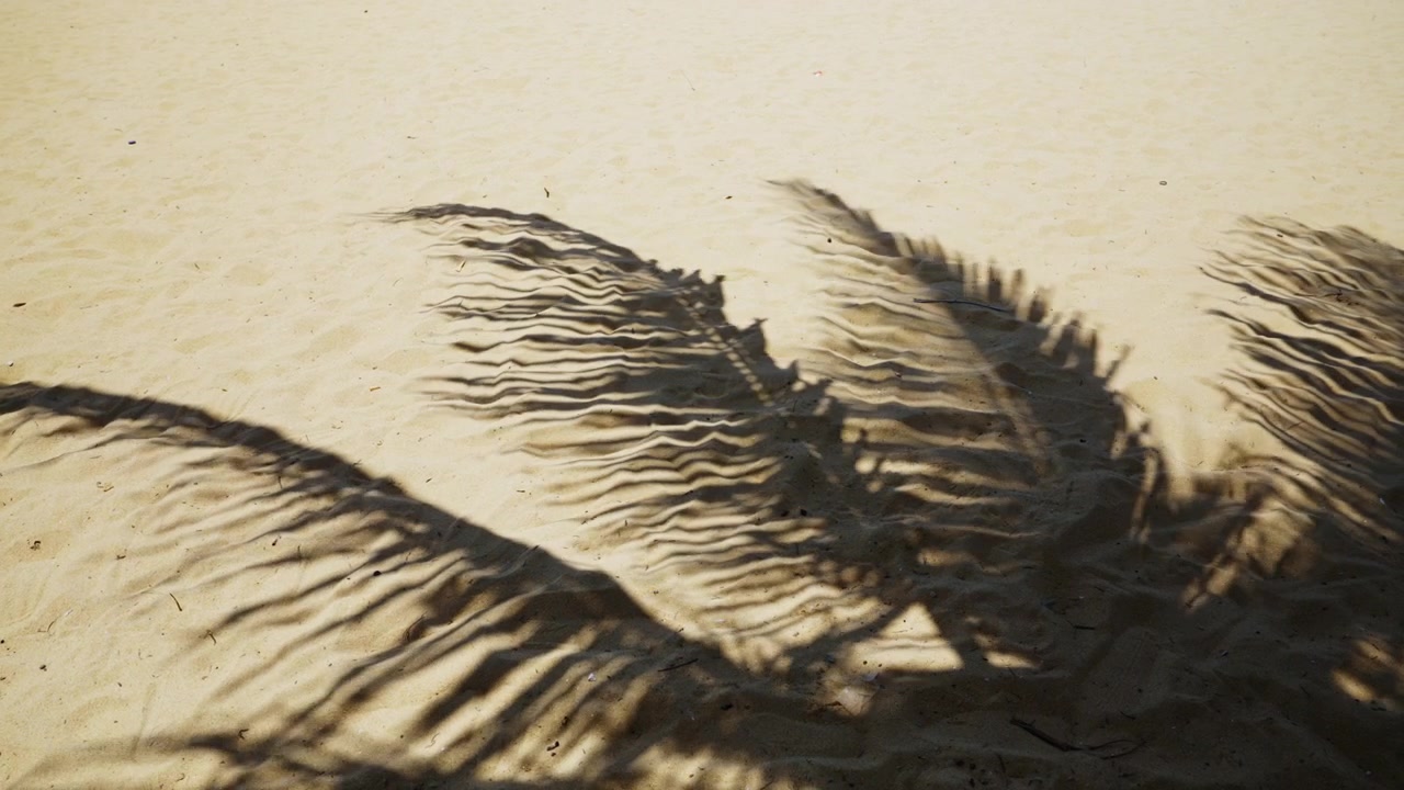 Ombra di palma proiettata sulla sabbia di una spiaggia tropicale in Sri Lanka, creando un motivo astratto naturale sotto la calda luce solare