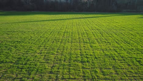 green field landscape