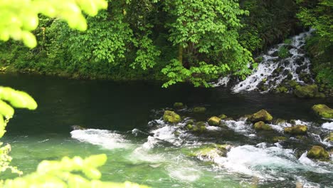 fast flowing stream of a river mountain on rainforest during summer