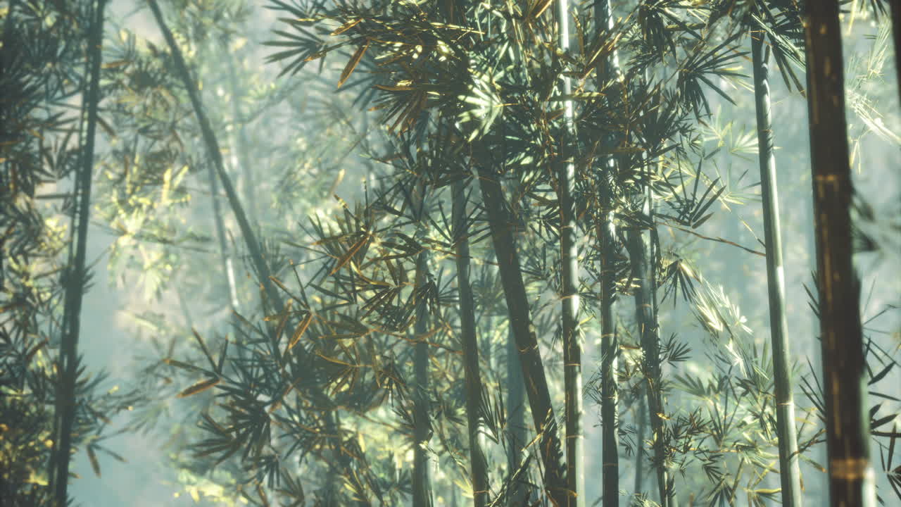 Sunlit bamboo forest with lush greenery in a serene setting