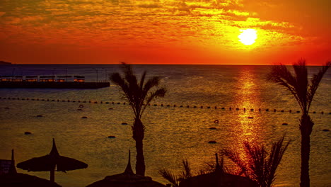 time lapse shot of waving palm trees, waving water of ocean during golden sunset