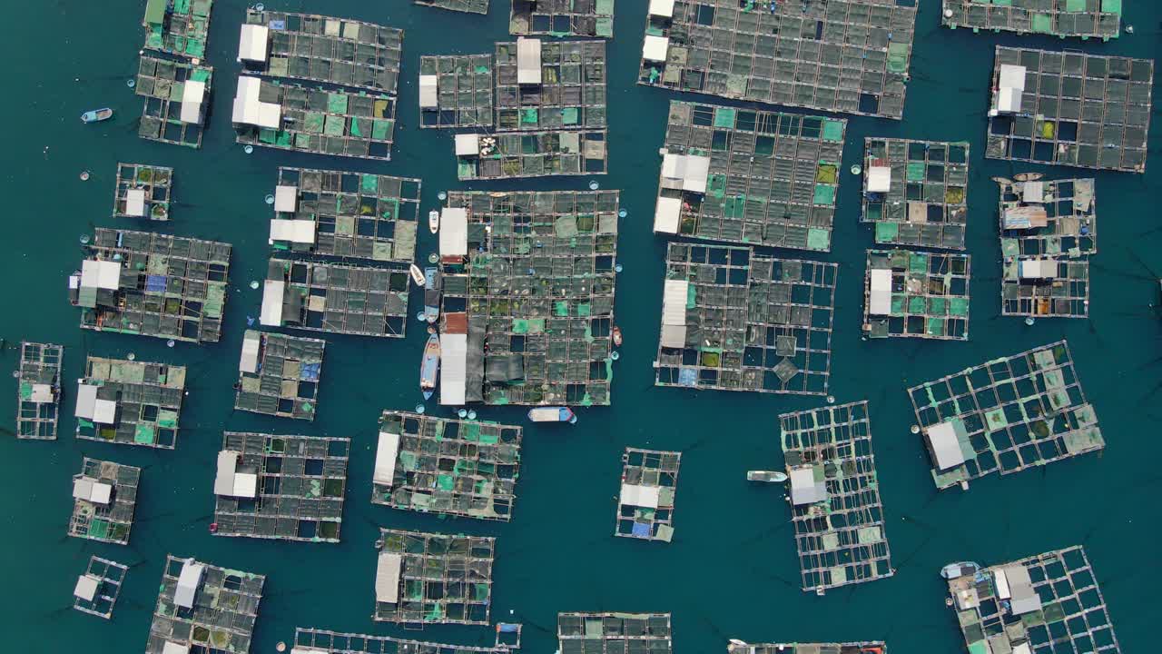 Aerial shot of lots of marine farms in a blue sea water. Sea farming concept