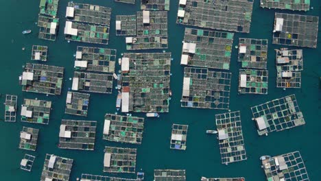 aerial shot of lots of marine farms in a blue sea water. sea farming concept