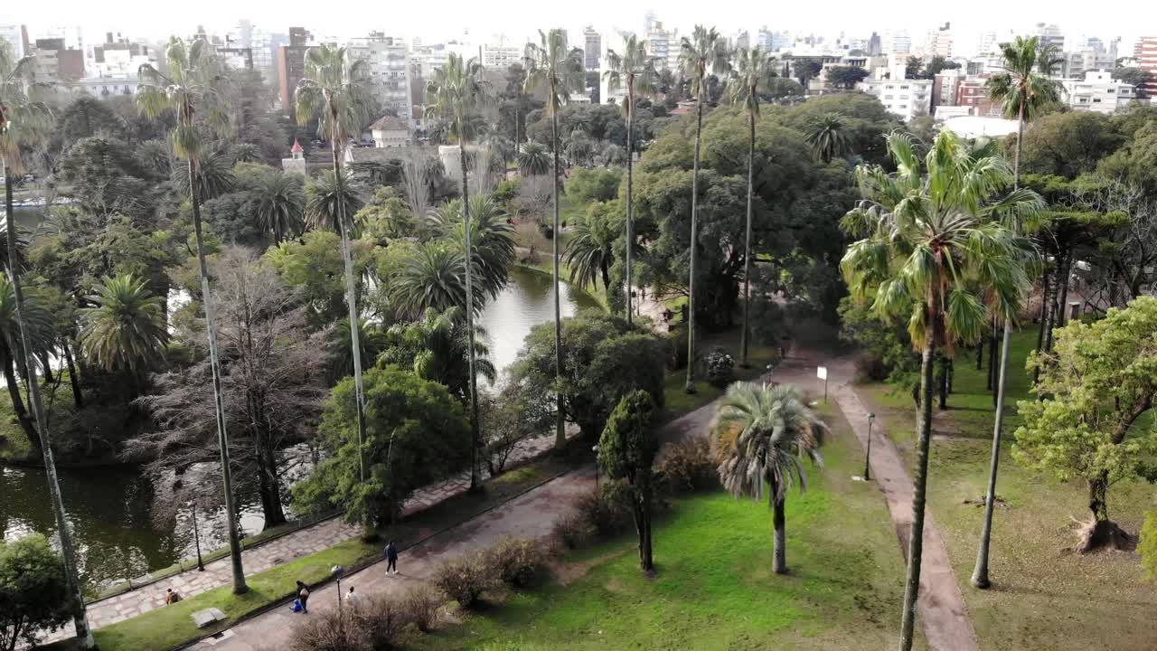 vista aérea de palmeras y lago del parque