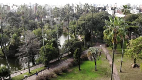 aerial view of palm trees and park lake