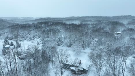 Forest-cover-near-the-river-in-Ada,-Michigan