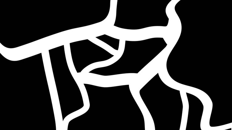 Motivo Astratto Animato Bianco e Nero